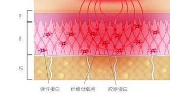 平博·pinnacle「中国」官方网站_活动9577